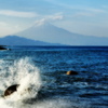 駿河湾からの富士