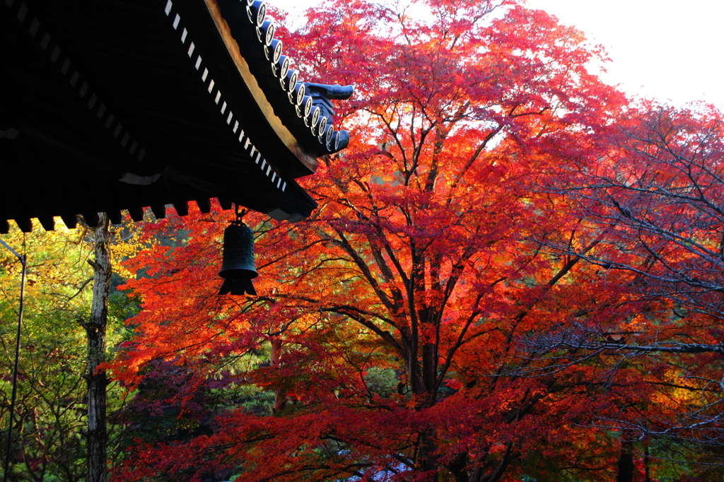 艶紅