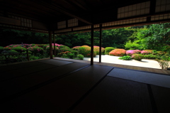 サツキ香る庭園