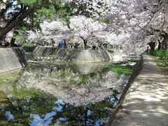 夙川公園
