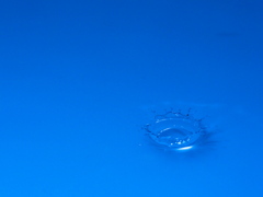 水冠