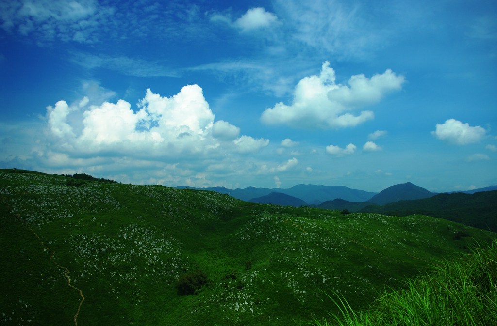 夏のカルスト台地