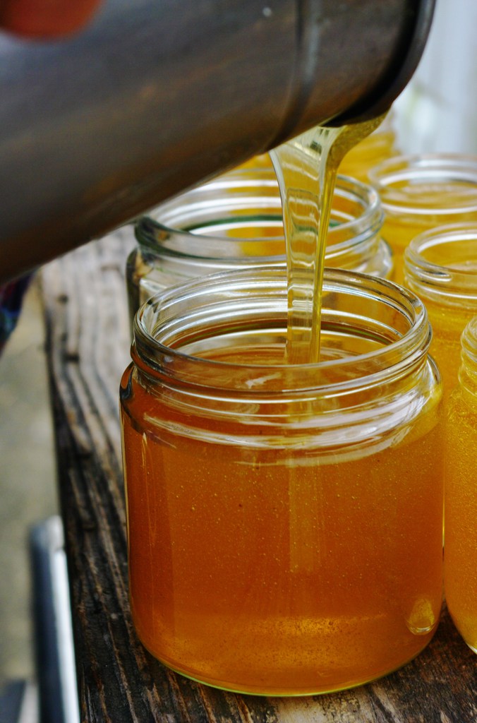 ミツバチからの贈り物