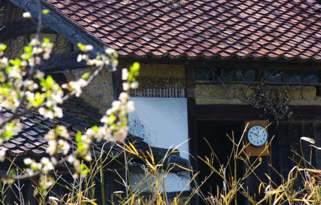 あれっ!、こんな所に時計が?