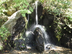 金閣寺　極小の滝