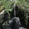 金閣寺　極小の滝２