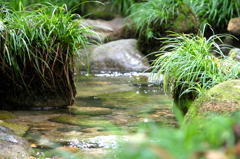 清流