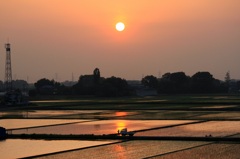 田園