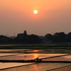 田園