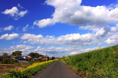 青空