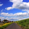 青空