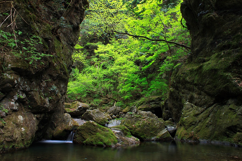 新緑の渓谷２
