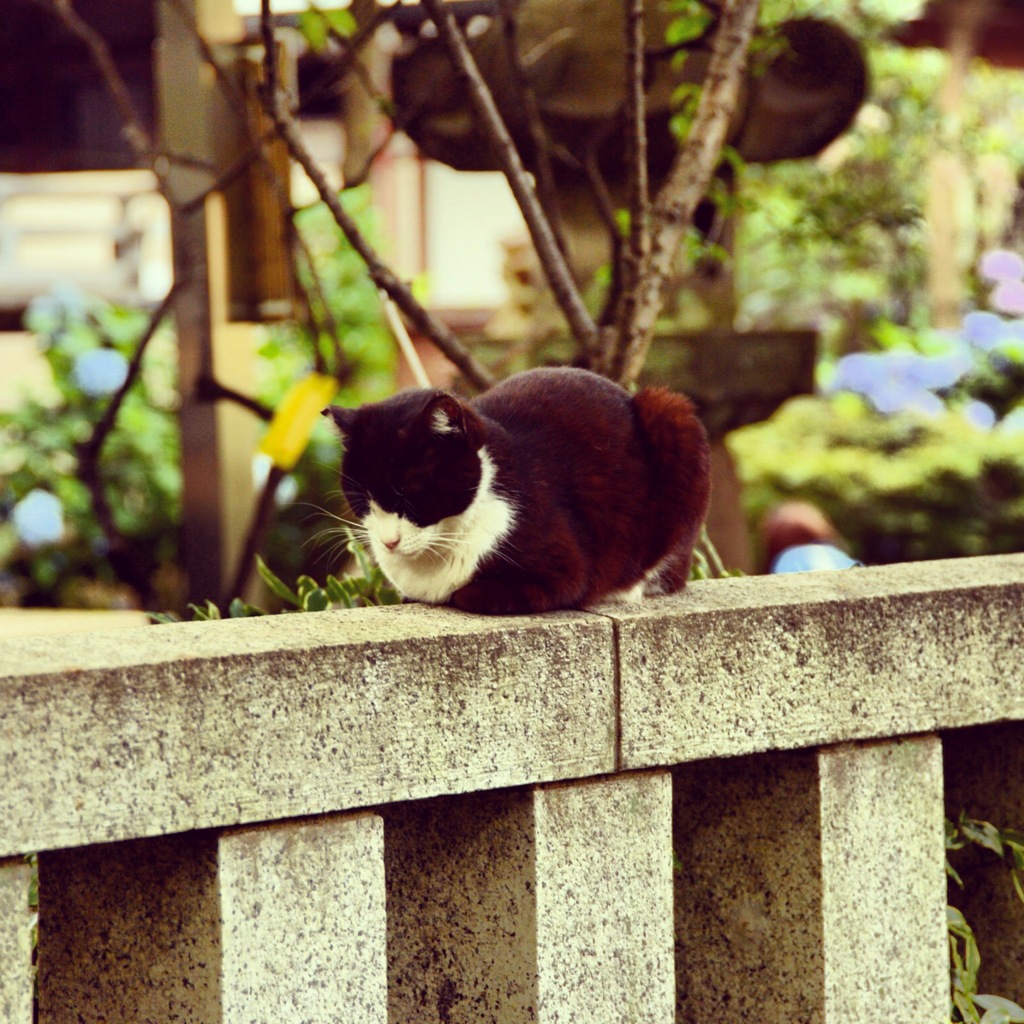 白山神社