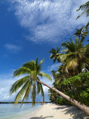 SIAMIL　ISLAND④