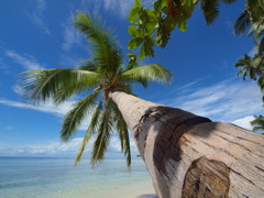 SIAMIL　ISLAND③