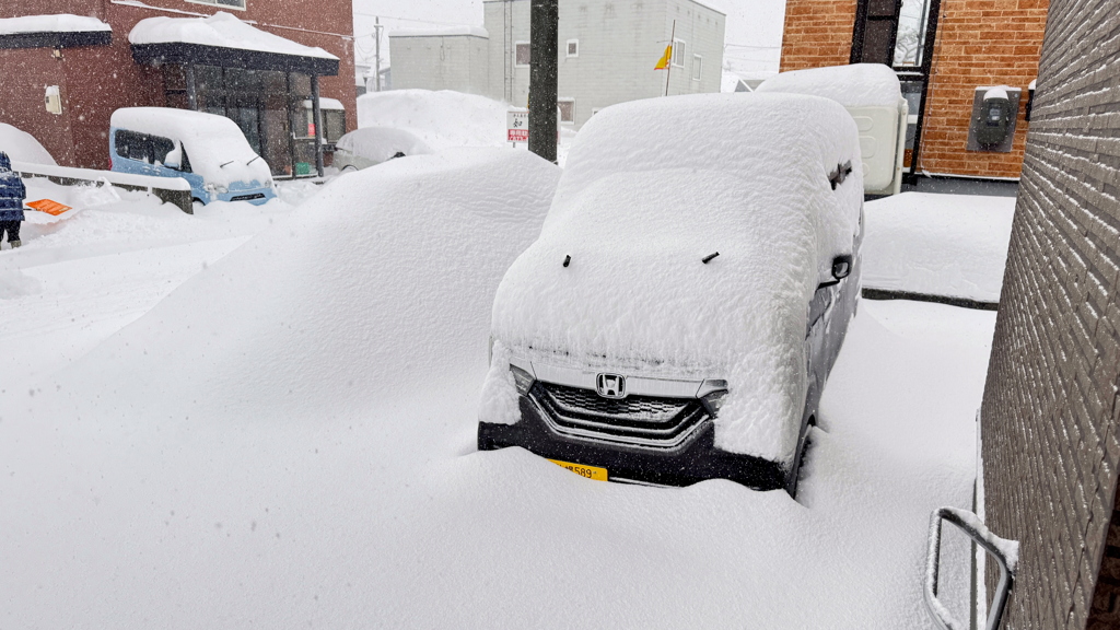 朝の降雪
