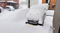朝の降雪