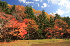 紅桜公園