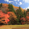 紅桜公園