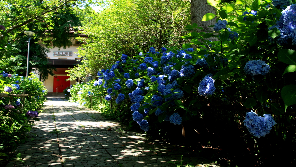 有珠善光寺-2