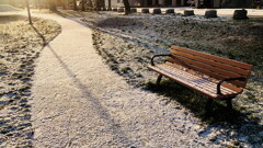 平穏な朝のサラリの雪