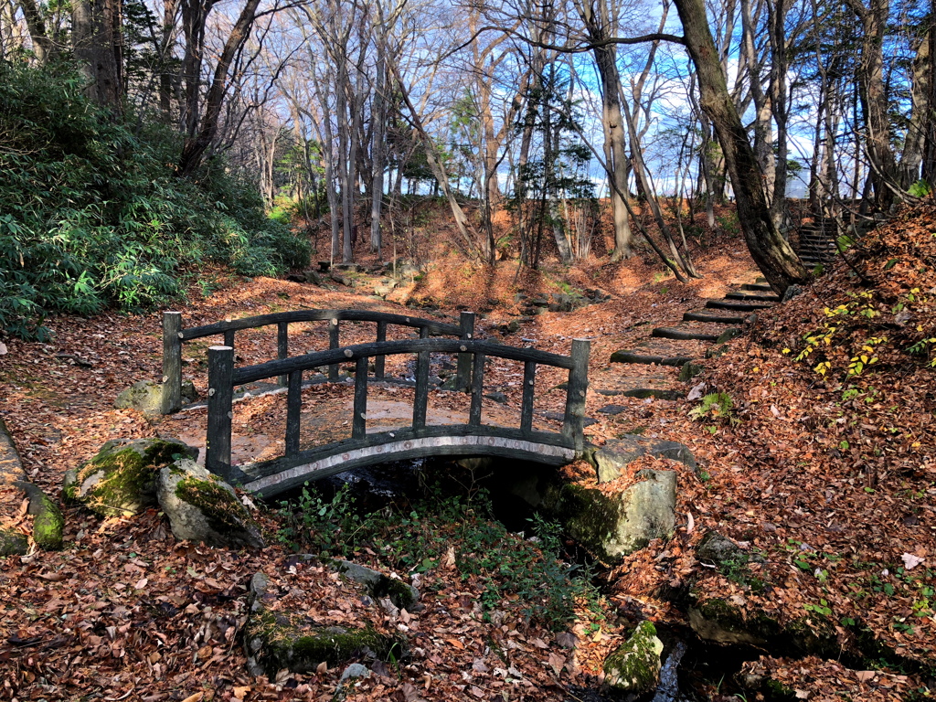 冬の前の可愛い橋の公園