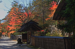 日本茶屋ともみじ