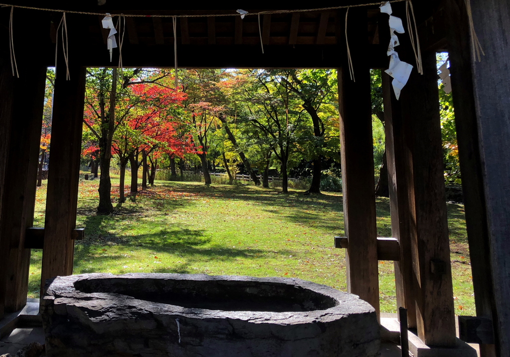 紅葉をのぞき見