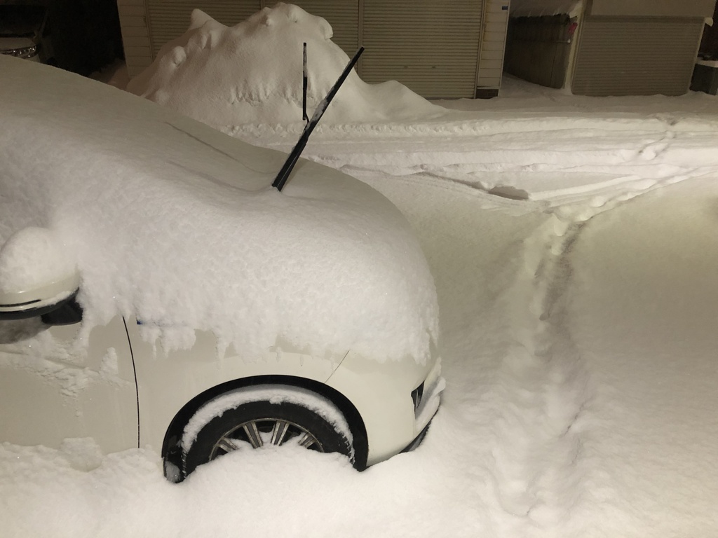 これから雪投げ開始