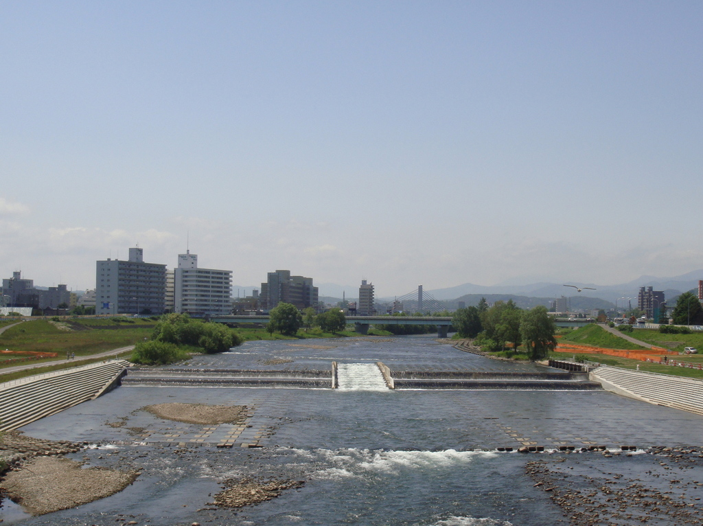 鮭の道