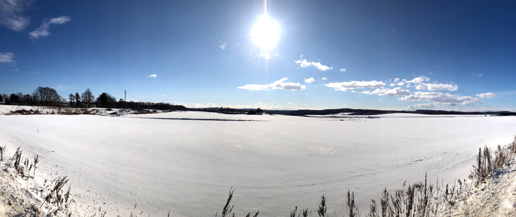 雪原　日に向かって