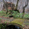 小さな苔橋