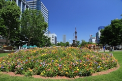 花フェスタ-大通公園