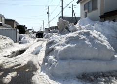 春への通り道