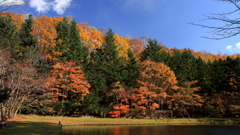 紅桜公園