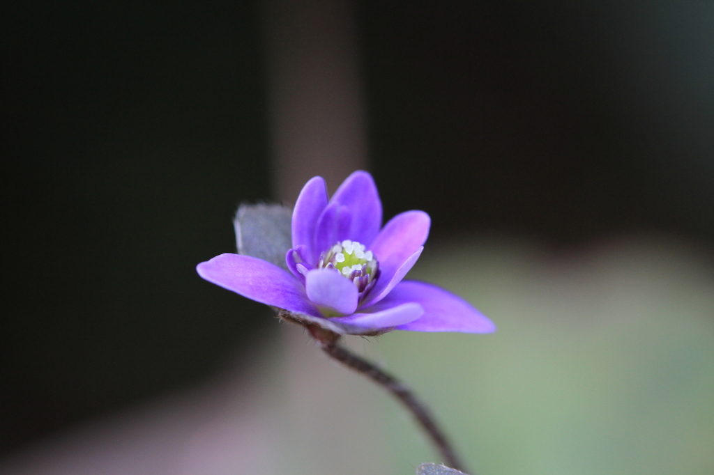 2013-Memorys-04-
