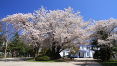 令和の中島公園