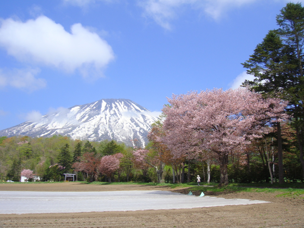 待ち遠しい風景