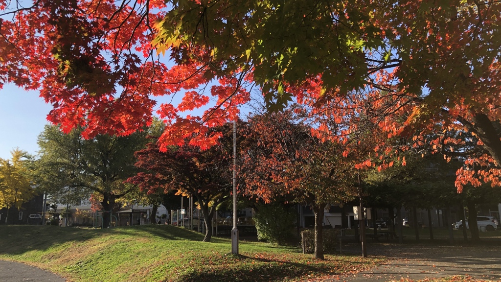 紅葉越しの公園