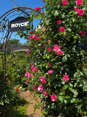ROYCE'ガーデン