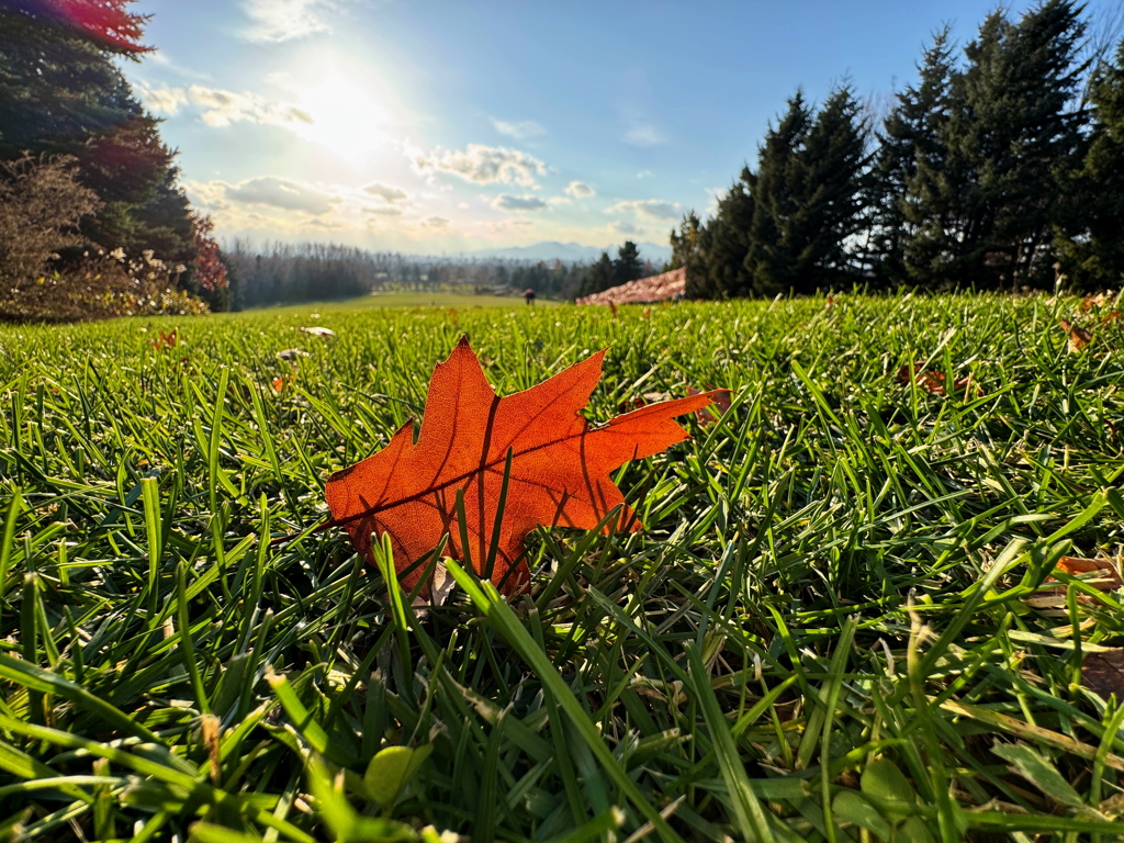 秋の終わりの青空