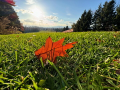 秋の終わりの青空