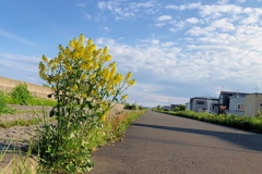 朝のご褒美