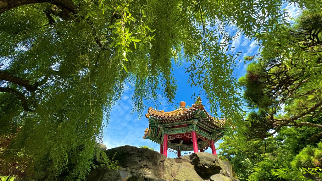 見上げる
