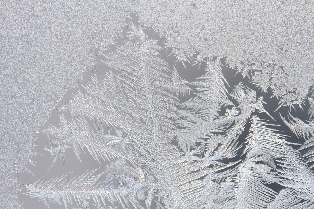 -14℃　雪羽