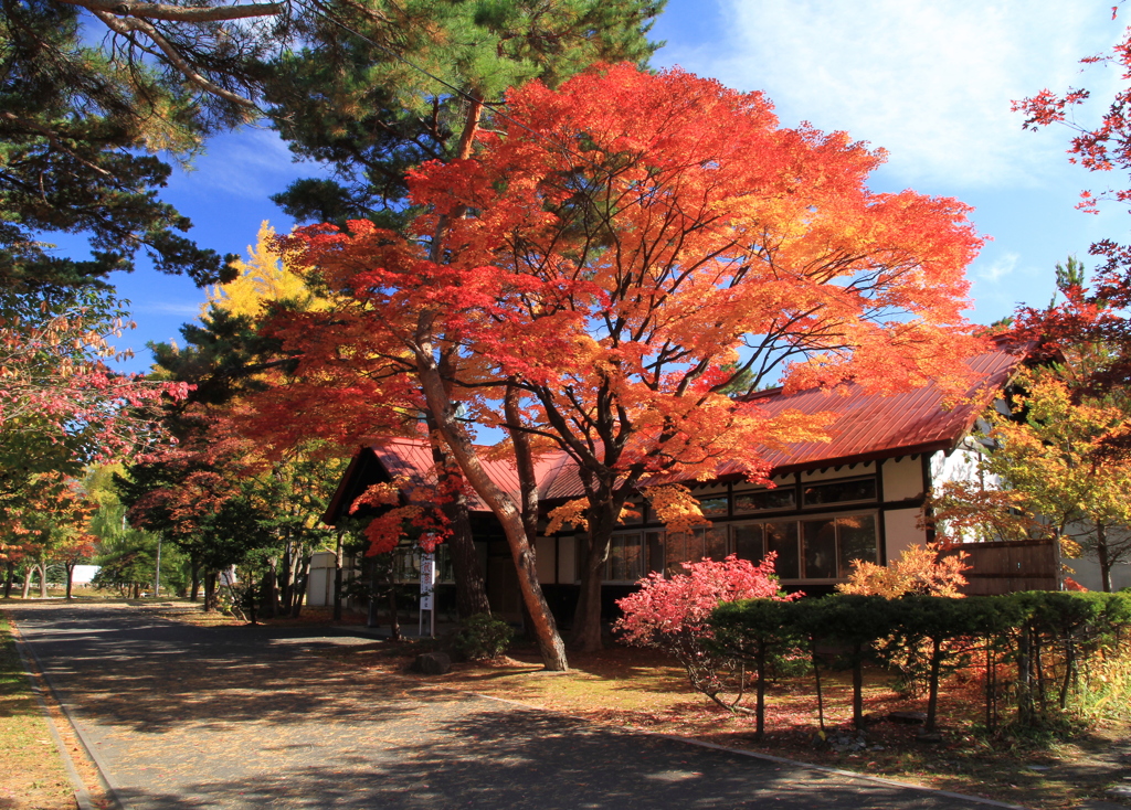 中島公園-2