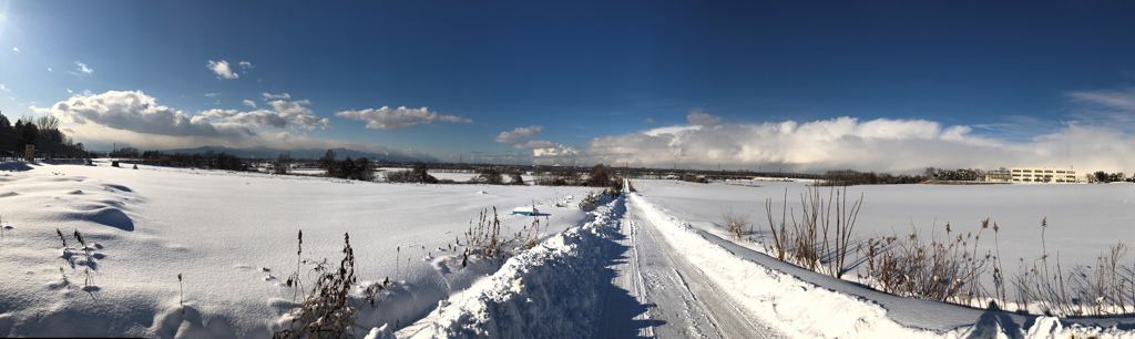 郊外から札幌の町を望む