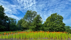 百合が原公園