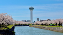 五稜郭タワー