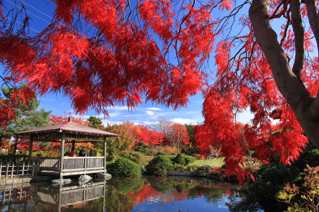 平岡樹芸センター 